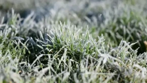 Ledeno jutro: Na Manjači izmjerena –4°C