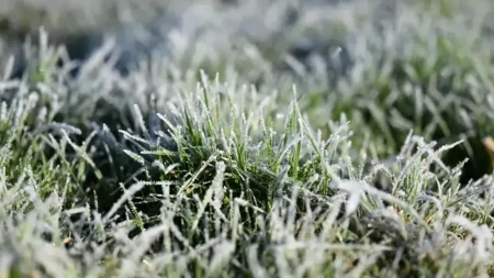 Ledeno jutro: Na Manjači izmjerena –4°C