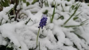 Priroda učinila svoje: Padavine pomogle u gašenju požara na teško pristupačnom terenu