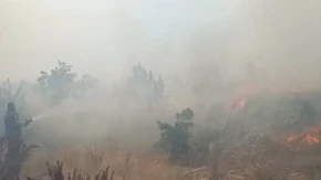 Lokalizovan požar kod Teslića: Vatrogasci, šumari i mještani na terenu