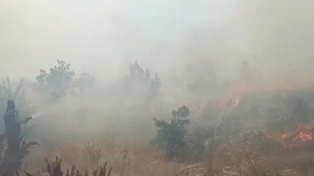 Lokalizovan požar kod Teslića: Vatrogasci, šumari i mještani na terenu