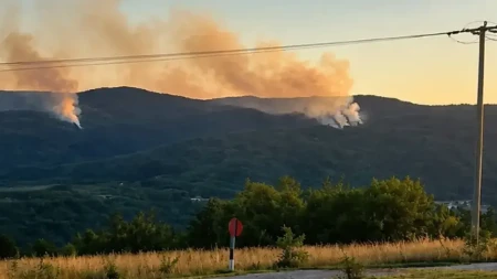 Požar u Drvaru lokalizovan, kuće nisu ugrožene