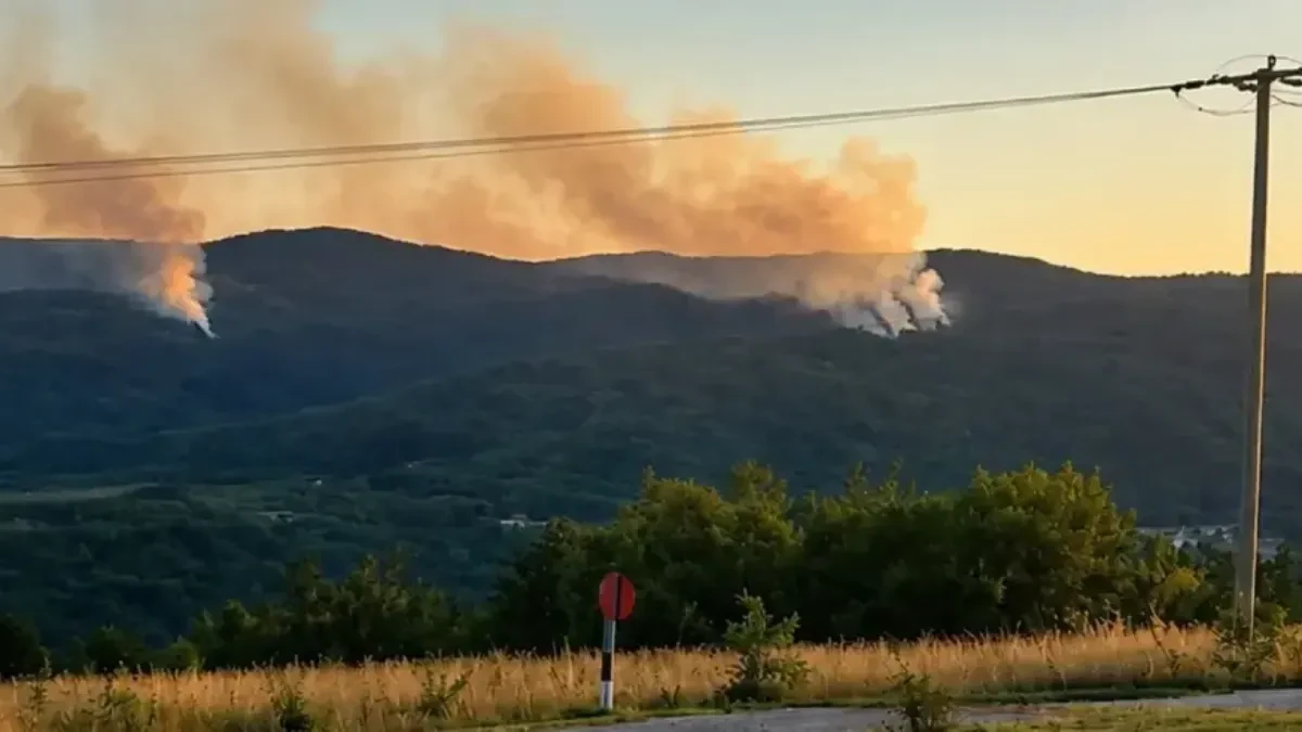 Požar u Drvaru lokalizovan, kuće nisu ugrožene