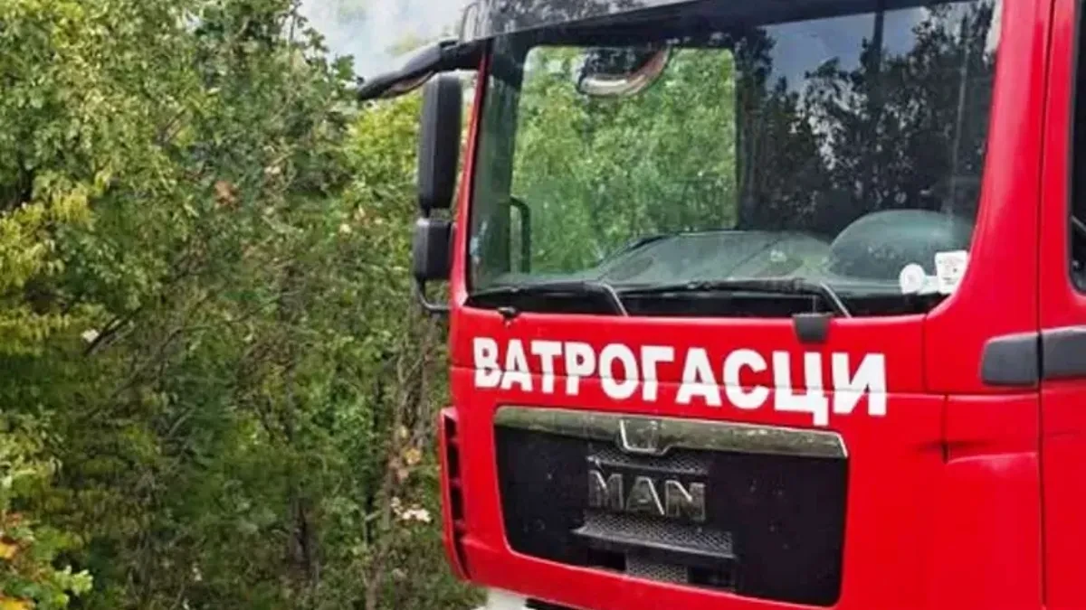 Bileća: Vatrogasci se bore sa vatrenom stihijom koja se približila kućama