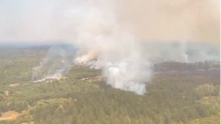 Ponovo se razbuktao požar u Deliblatskoj peščari