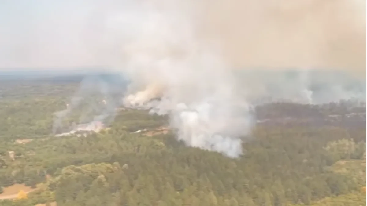 Ponovo se razbuktao požar u Deliblatskoj peščari