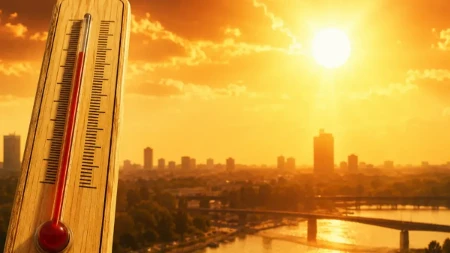 Toplotni talasi širom svijeta prave velike probleme, struka zabrinuta