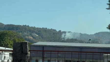 Buknuo požar u naselju Česma: Zapalila se šuma, vatrogasci na terenu (VIDEO)