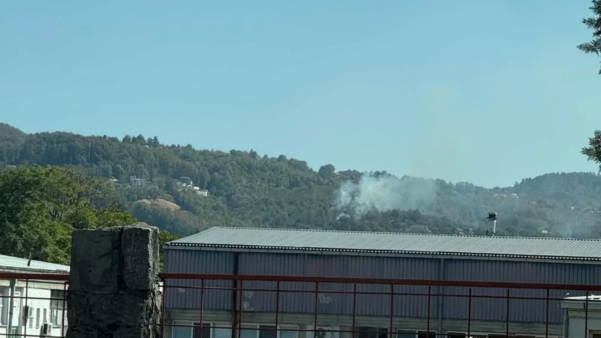 Buknuo požar u naselju Česma: Zapalila se šuma, vatrogasci na terenu (VIDEO)