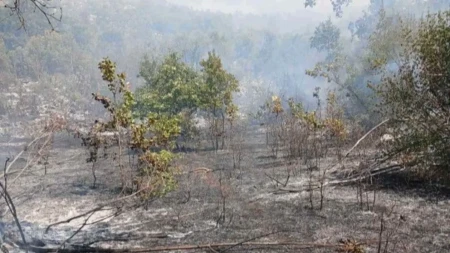 Na području Gacka tri požara, situacija pod kontrolom