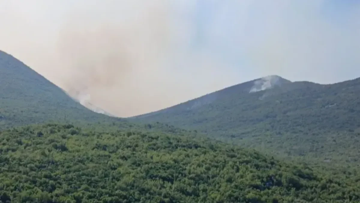 Požar na ulazu u Trebinje: Vatra zahvatila napuštene barake