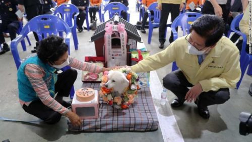 PAS KOJI JE SPASIO SVOG VLASNIKA imenovan je za prvog počasnog psa spasioca Južne Koreje