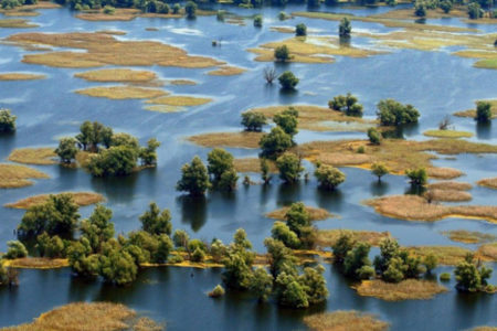 „EVROPSKI AMAZON“, rezervat biosfere Mura-Drava-Dunav u pet država, postaje najveće zaštićeno riječno područje