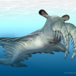 OTKRIVENO DIVOVSKO STVORENJE, koje je živjelo u našim okeanima prije 500 miliona godina