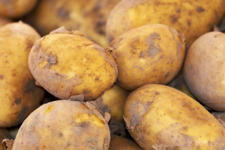 NE ISPUNJAVA FITOSANITARNE USLOVE Zabranjen uvoz krompira iz Poljske