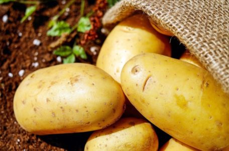 ISPROBANO Spriječite da krompir proklija uz samo jednu voćku