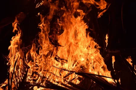 AKCIJA ČIŠĆENJA KOROVA PRETVORILA SE U HOROR Muškarac izgorio u požaru