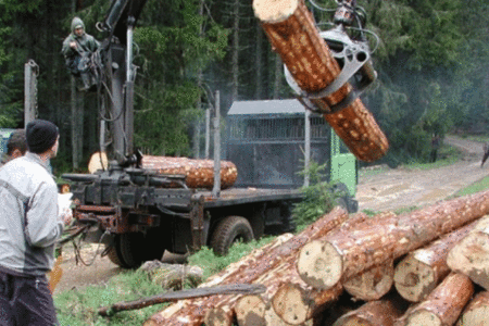 POLUGODIŠNJU DOBIT „Šume Srpske“ troše na nova vozila