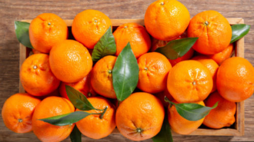 PUNE PESTICIDA Zabranjen uvoz mandarina iz Turske