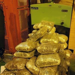 AKCIJA SIPE: Pokušao iz BiH da preveze u Austriju 81 kilogram marihuane!