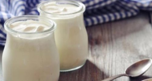 DA BISTE NAPRAVILI PRAVI domaći jogurt potrebna su samo dva sastojka