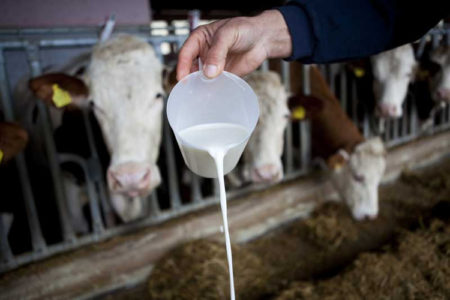 FARMERI OGORČENI Za litar nafte treba da prodaju četiri litra mlijeka