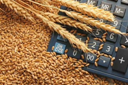 brašno i pšenica proizvodnja