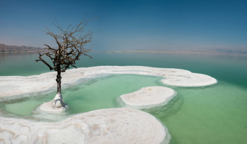 TURISTIČKA ATRAKCIJA “drvo života” koje stoji u sred Mrtvog mora! (FOTO/VIDEO)