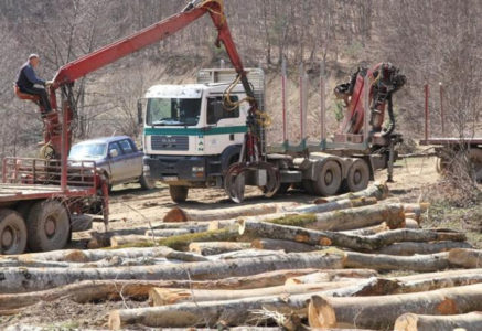 VIŠE OD POLOVINE GAZDINSTVA PRECIJENILO ZALIHE Gubitaši u “Šumama Srpske” nemilice trošili