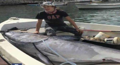 CRNOGORSKI REKORD Rafailovići upecali tunu tešku 266 kilograma