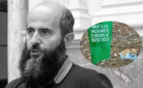 PRETUŽNO Mačak preminulog muftije Zukorlića ne ide od njegovog groba ni po najvećoj kiši! (FOTO)