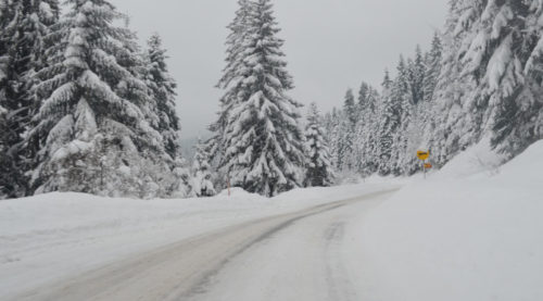 HAOS NA CESTAMA SRBIJE! Snijeg stvara probleme vozačima, MAGISTRALA KA CRNOJ GORI u porpunosti neprohodna