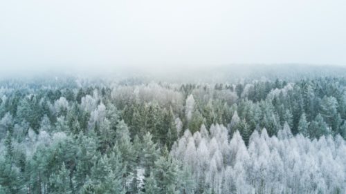 U Sibiru izmjereno minus 58 stepeni Celzijusovih