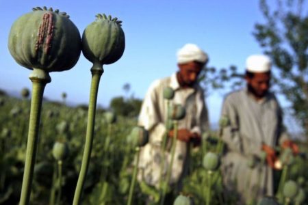„NAVUČENO“ TRI I PO MILIONA LJUDI Deset posto Avganistanaca OVISNICI o drogi