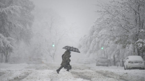 HAOS U SAD Zbog snježne oluje 900.000 domova i kompanija bez struje