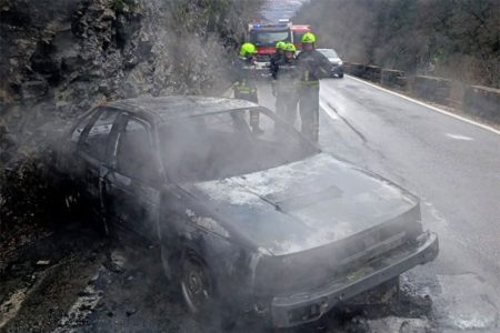 Zoran Pekez poginuo izgorio automobil pasat