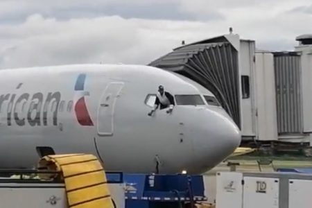 PUTNIK ULETIO u kokpit aviona! OŠTETIO letjelicu, te izazvao opšti haos na aerodromu! (VIDEO)
