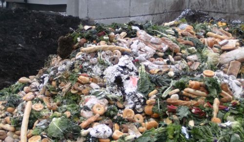 DOK JEDNI „UMIRU OD GLADI“ DRUGI BACAJU SKORO PET HILJADA ŠLEPERA NAMIRNICA! Nevjerovatne cifre: 268.000 tona hrane godišnje završi na otpadu!