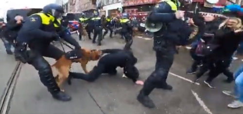 KOJA BRUTALNOST! VODENIM TOPOVIMA I PSIMA NA DEMONSTRANTE: Amsterdamska policija pokazala SVU SUROVOST SILE! (VIDEO)