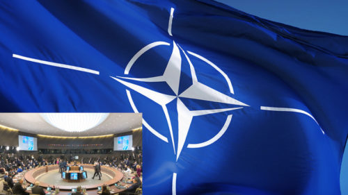 LAŽNA DRŽAVA TRAŽI HITNO ČLANSTVO U NATO!