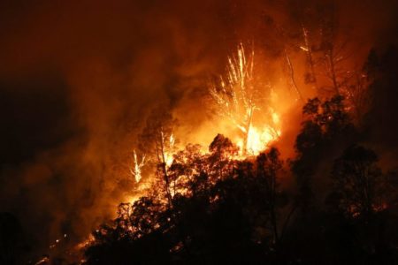 BUKTE POŽARI U MAKARSKOJ: Gori borova šuma, 115 vatrogasaca na terenu