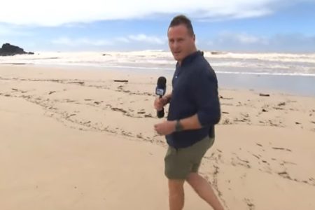 POPLAVA IZBACILA izgubljenu životinju na sred plaže! (VIDEO)