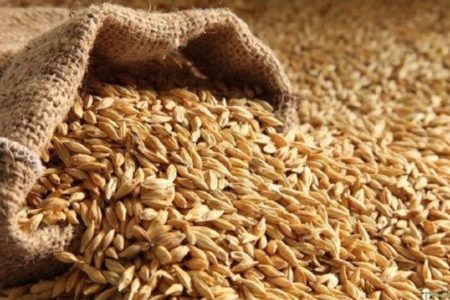 KAMERUN ZNA KOGA KRIVITI za nestašicu pšenice u državi!