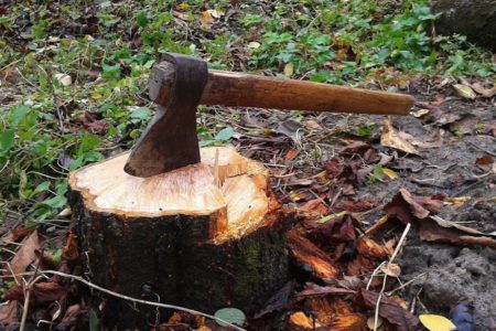 NESREĆA KOD FOČE Muškarca ubilo drvo, sin prijavio tragediju