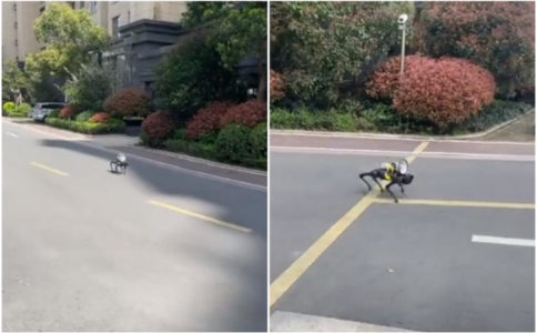BIZARNA SCENA U ŠANGAJU! Psi roboti šetaju ulicama i upozoravaju građane (VIDEO)