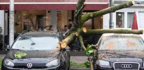NEVRIJEME U MOSTARU: Vjetar oborio stablo i palo na parkirana vozila!