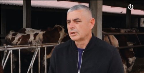 NA RUBU KATASTROFE: Sve više mljekara odustaje od proizvodnje