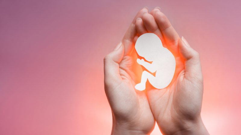 Abortus, prekid trudnoće u BiH