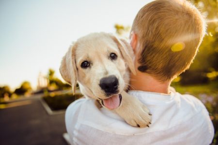 OBJAVLJENE STUDIJE Druženje sa psima ublažava osjećaj bola, dovoljno je samo 10 minuta maženja