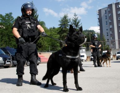 ZVJERSKO PONAŠANJE U Sarajevu uhapšen muškarac zbog mučenja i ubijanja životinja